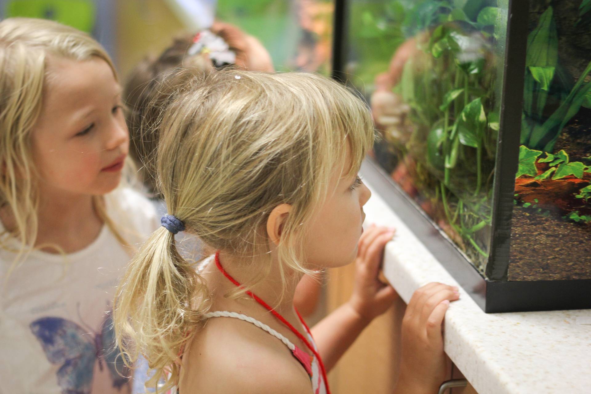 Children exploring the aquarium exhibit at Discovery Place