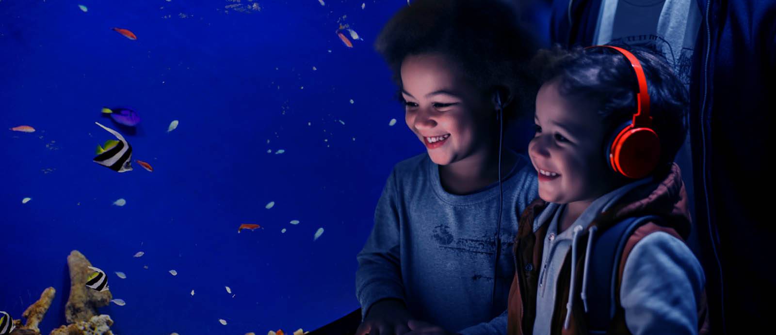 Children exploring exhibits at Discovery Place Science