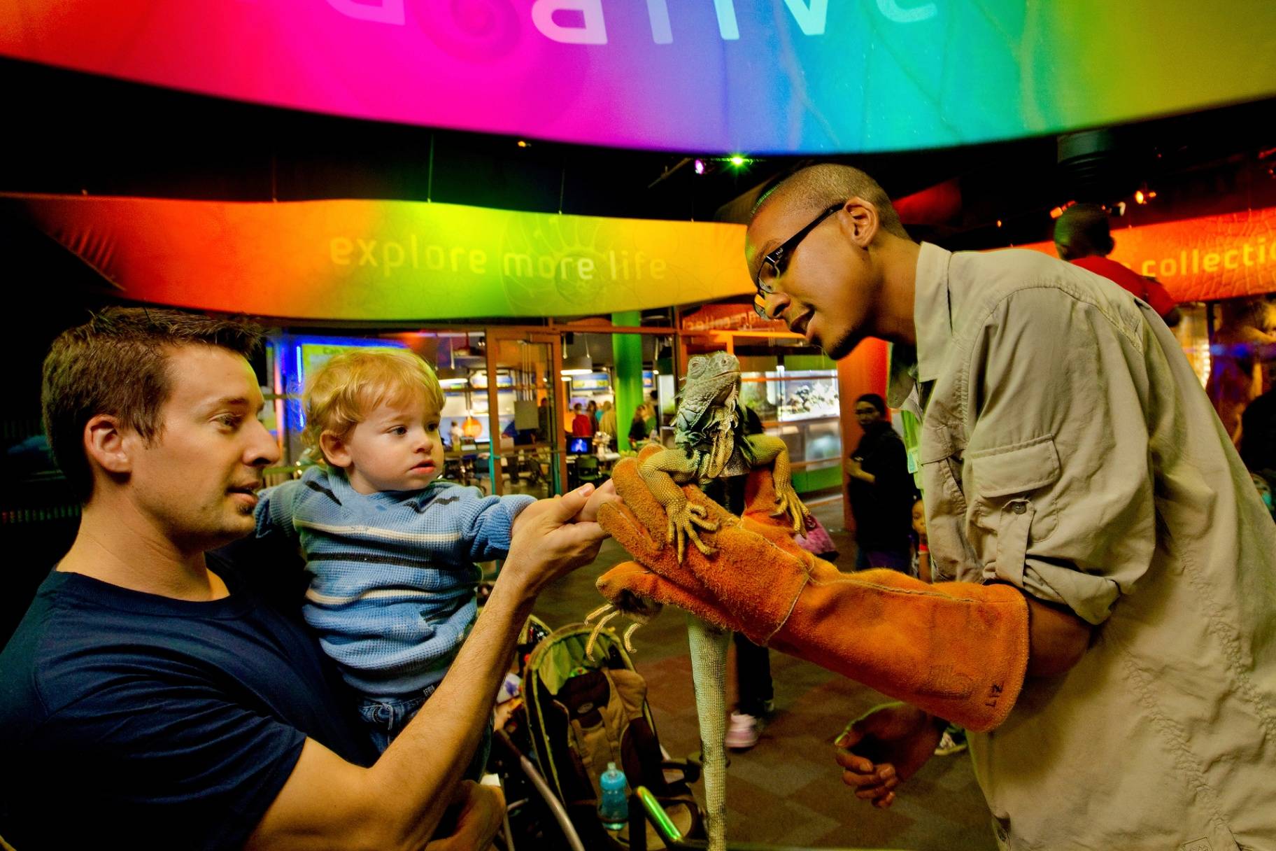 A family interacting with an iguana and museum staff