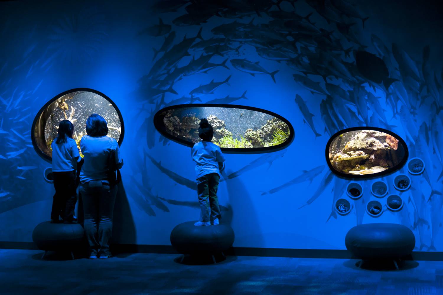 Families enjoying the immersive ocean exhibit at Discovery Place