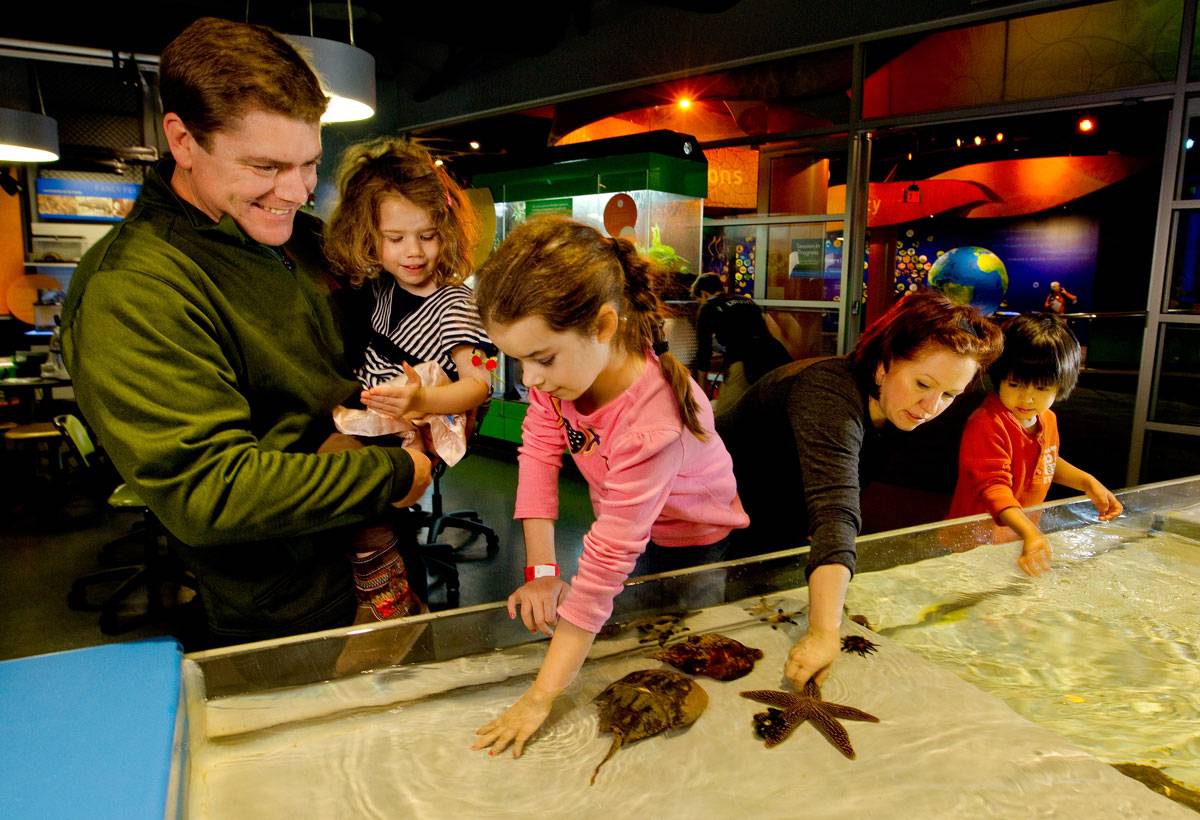 Families enjoying the touch tank exhibit at Discovery Place