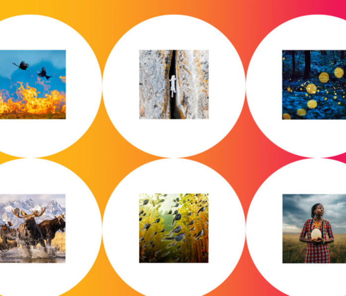 BigPicture: Natural World Photography
