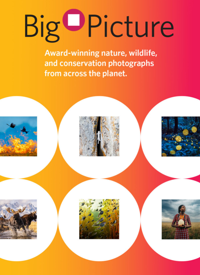 BigPicture poster