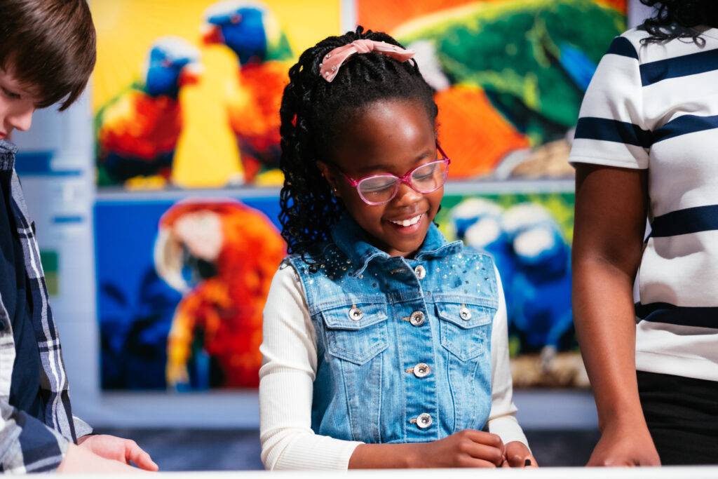 Young visitor smiling in front of LEGO parrot sculptures