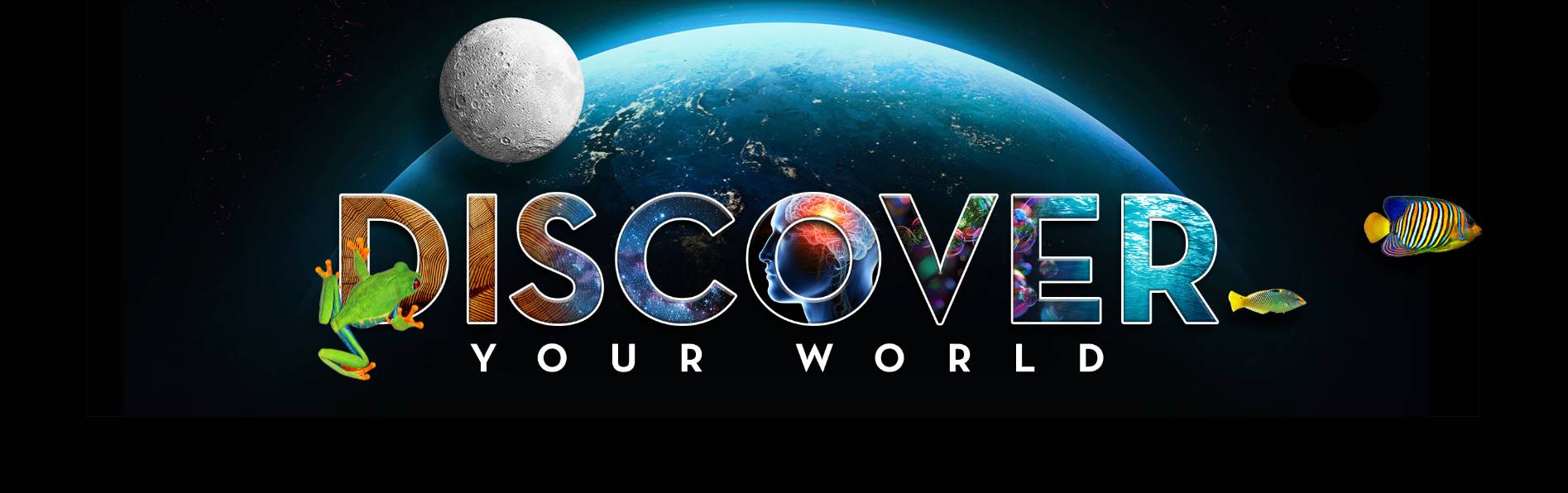 Discover Your World