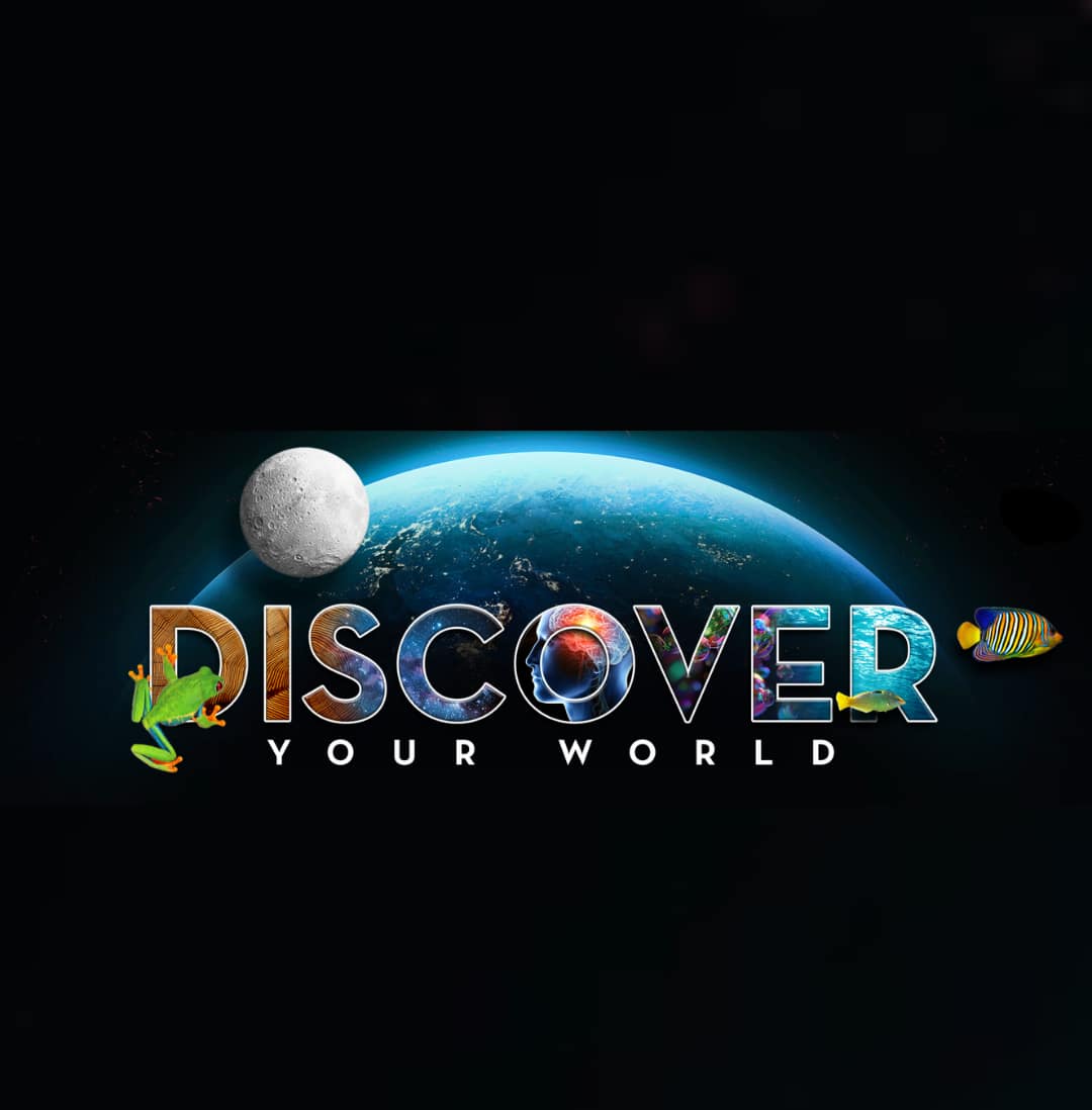 Discover Your World
