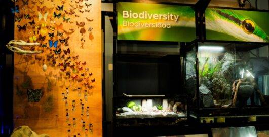 Living Planet Lab