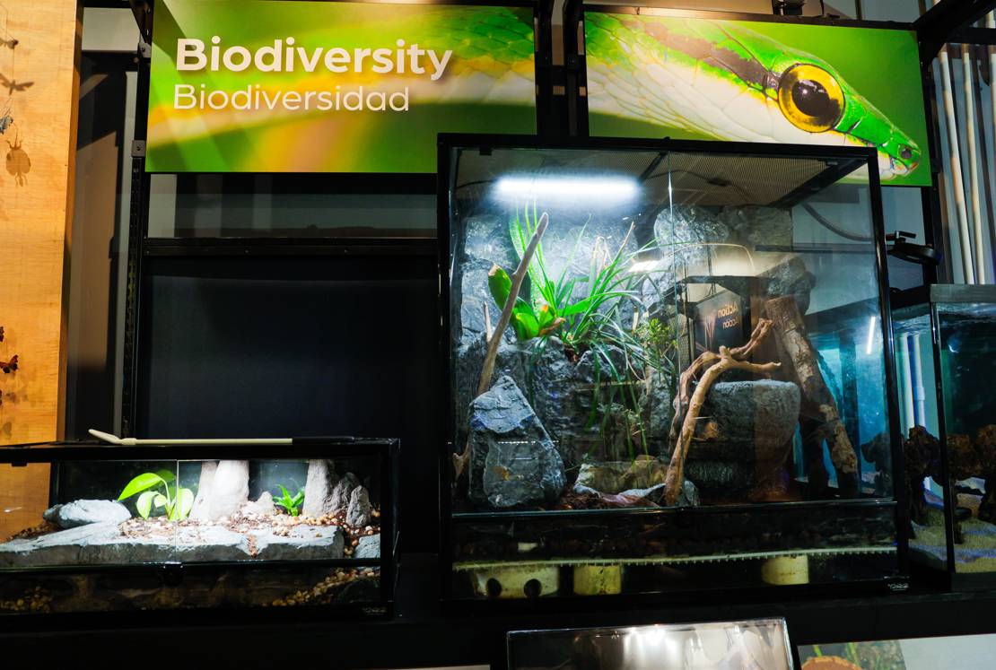 Biodiversity terrarium exhibit