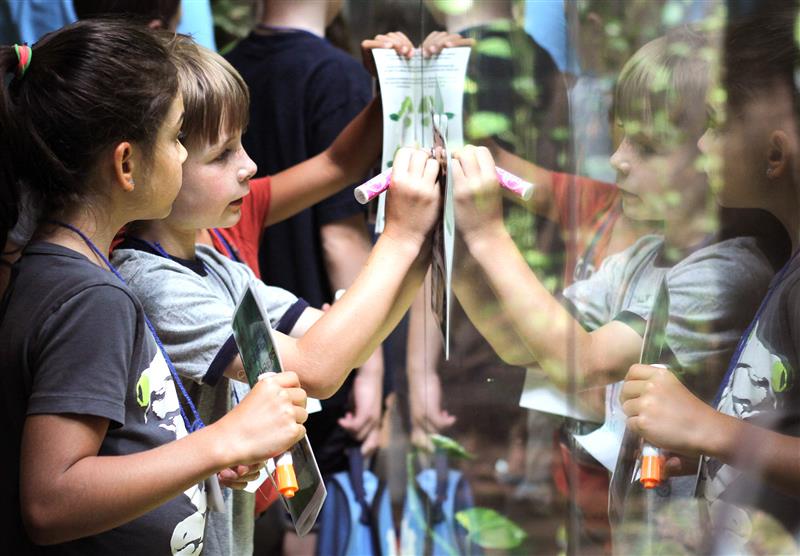 Visit Discovery Place