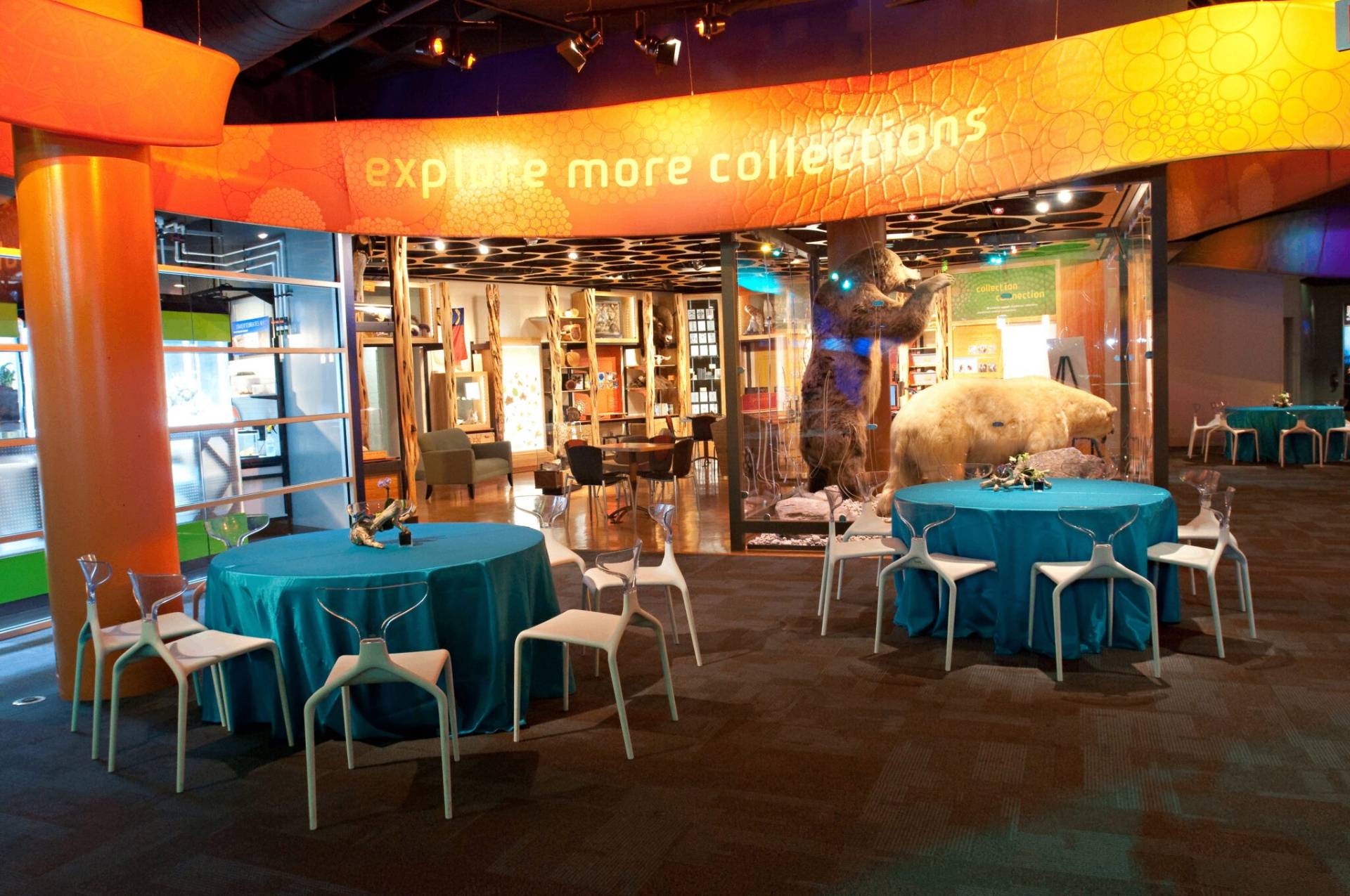 Seated dinner in collections area