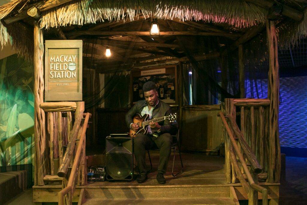 Live musician at event