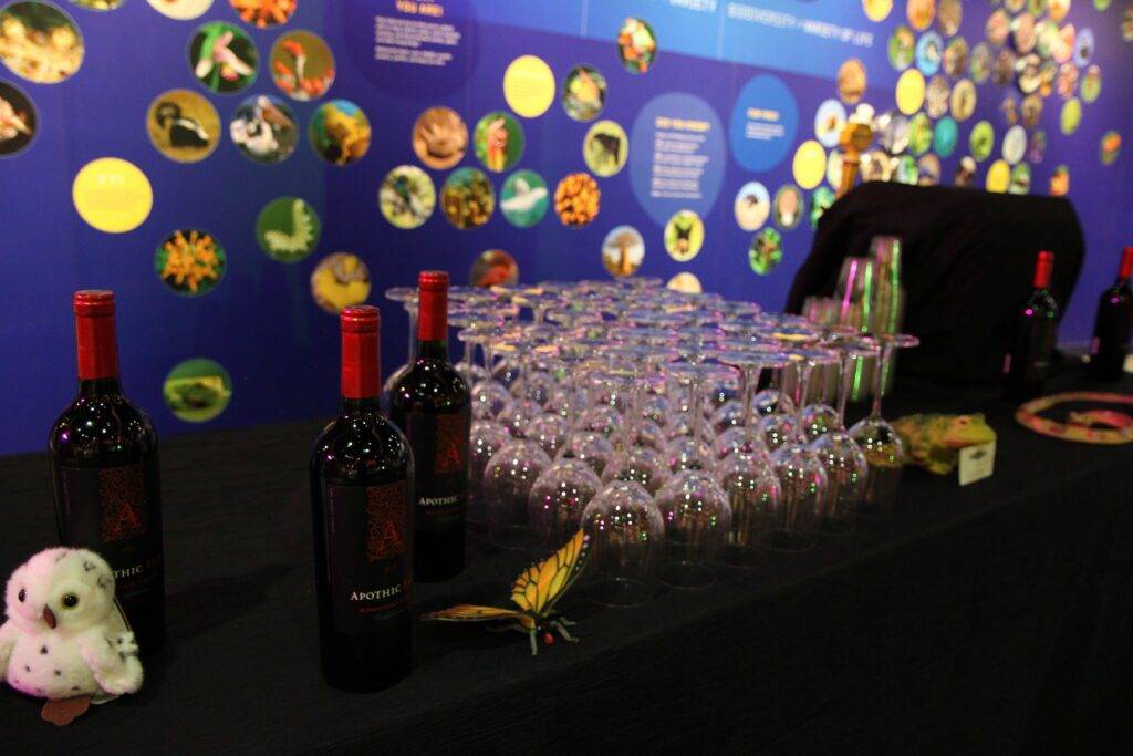 Wine and cocktail setup